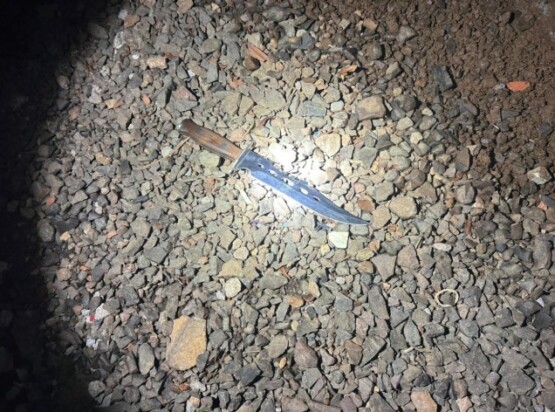 Criminosos invadem residência e deixam dois irmãos feridos a facadas no Oeste de SC