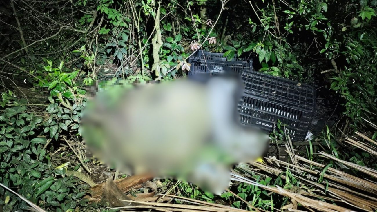 Corpo com sinais de violência é encontrado em mata de Maravilha; três são presos