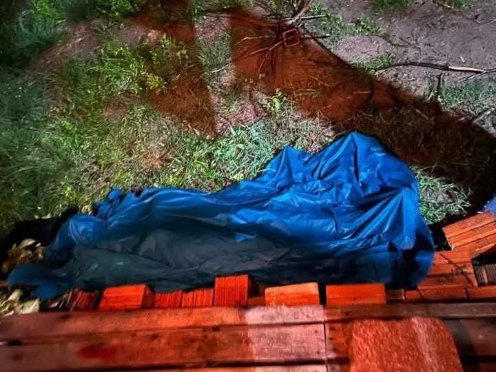 Viciado no jogo tigrinho, mata própria mãe.