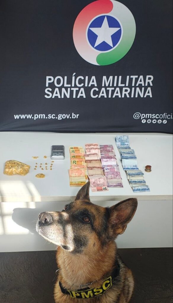 Operação da PM apreende drogas e envolve menor em ponto de tráfico em Chapecó