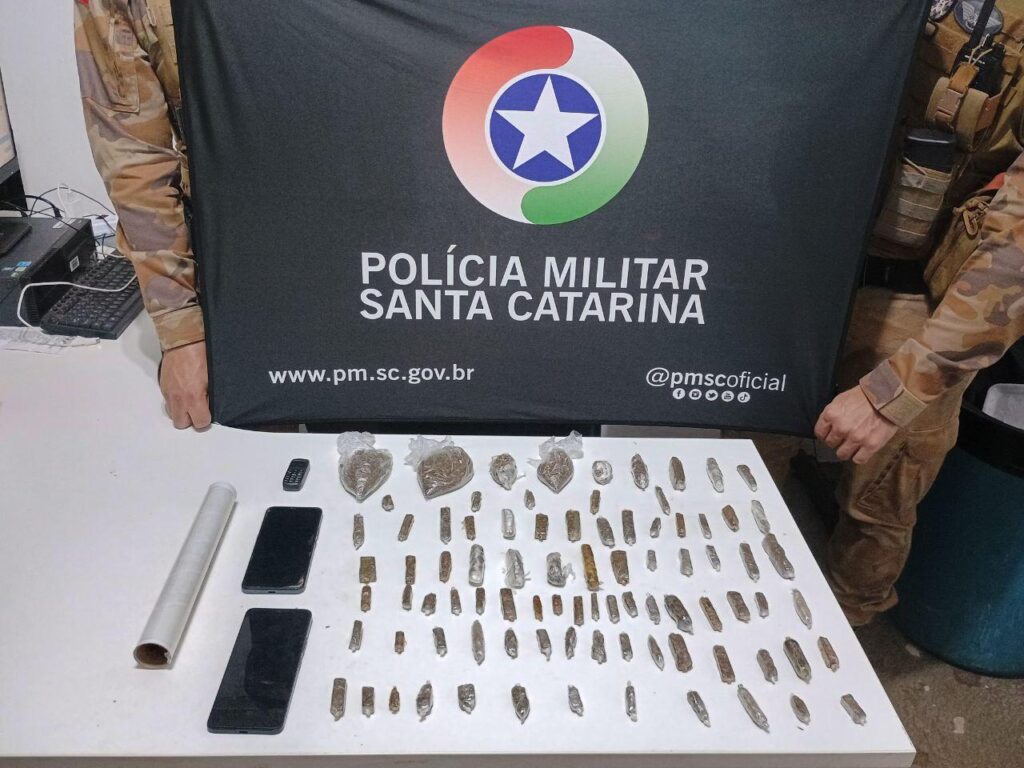Mulher é presa por tráfico de drogas e polícia encontra entorpecentes até na geladeira em Chapecó