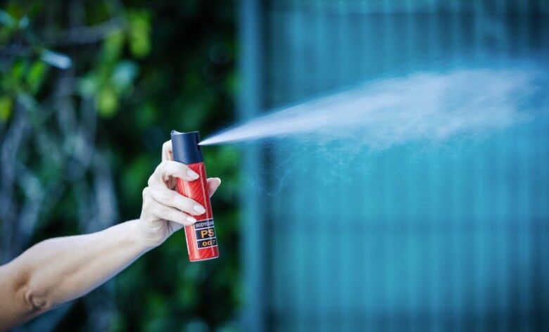 Alesc aprova projeto que prevê spray de pimenta gratuito para mulheres com medida protetiva em SC