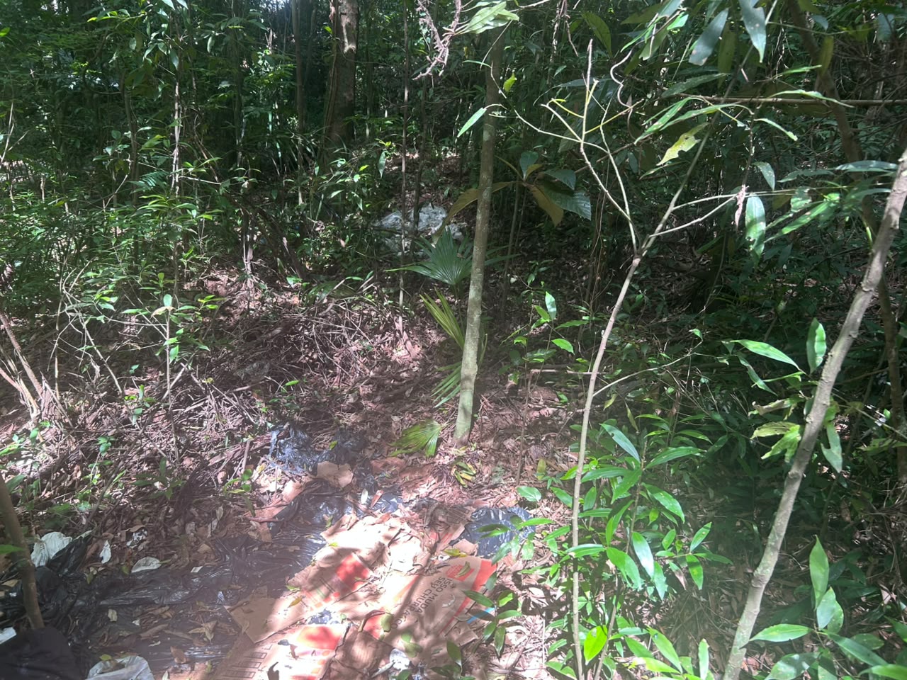 Homem de 73 anos desaparecido é encontrado morto em área de mata em Concórdia