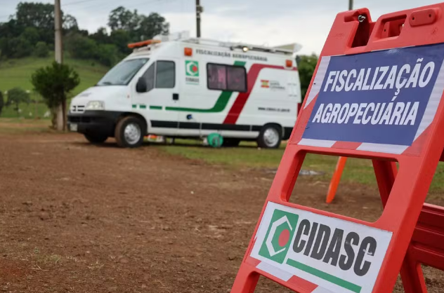 Santa Catarina confirma segundo foco de Newcastle em granja de perus e detecta vírus em pombos