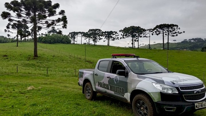Comando de Polícia Militar Ambiental alerta sobre período de proibição da coleta do pinhão