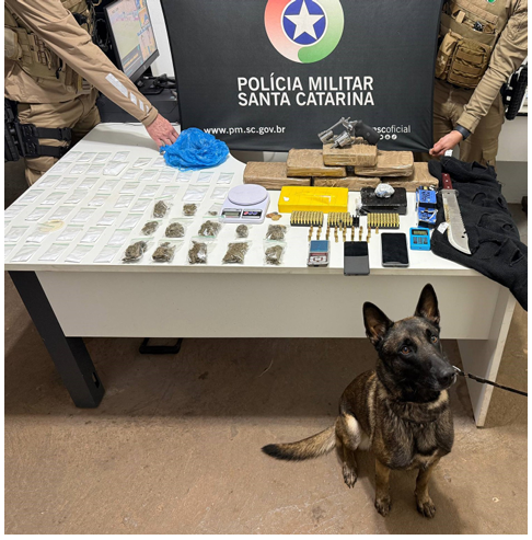 Polícia Militar apreende quase 9 quilos de drogas, arma e motocicleta furtada no Oeste de SC