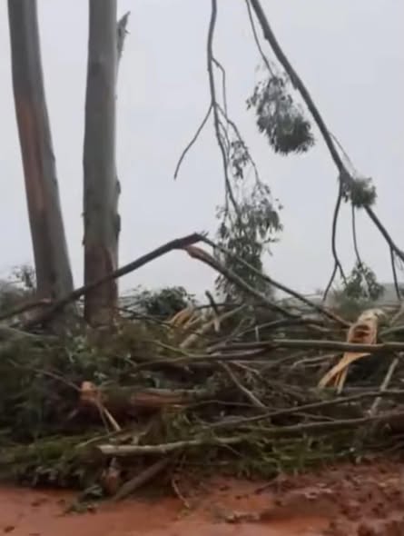 Tempestade com granizo provoca danos e deixa moradores em alerta no interior do RS