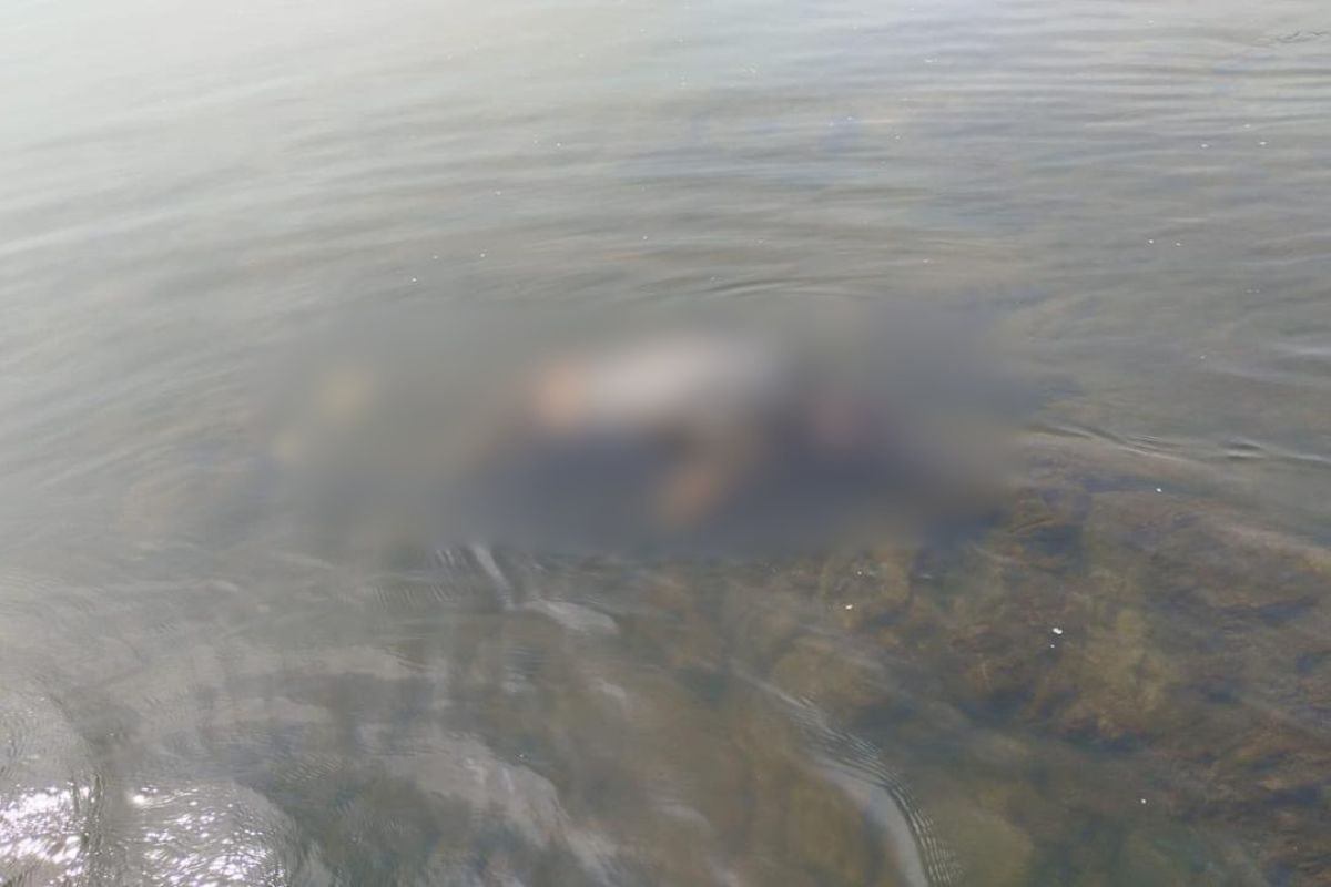 Homem é encontrado morto com marcas de tiros no Rio Uruguai em Palmitos